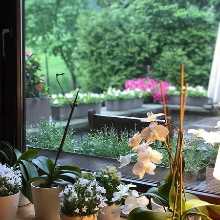 Poncyljuszowka Homestay Szczyrk