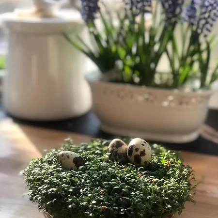 Poncyljuszówka Szczyrk