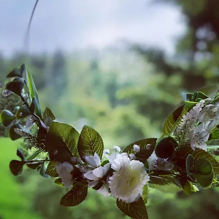 Poncyljuszówka Quarto em Acomodações Particulares