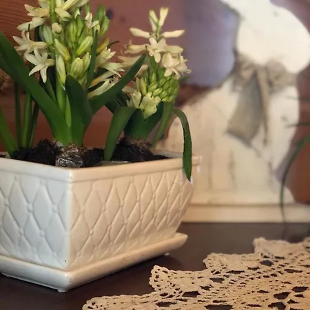 Poncyljuszówka * Szczyrk