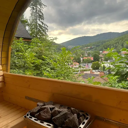 Privat bolig Poncyljuszowka