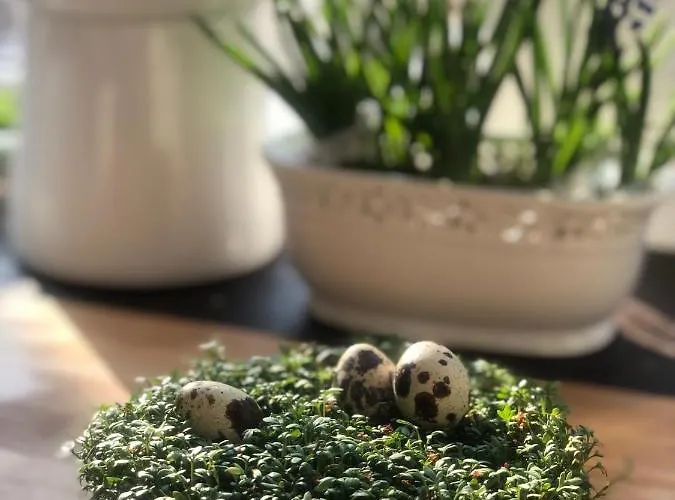 Poncyljuszówka Szczyrk